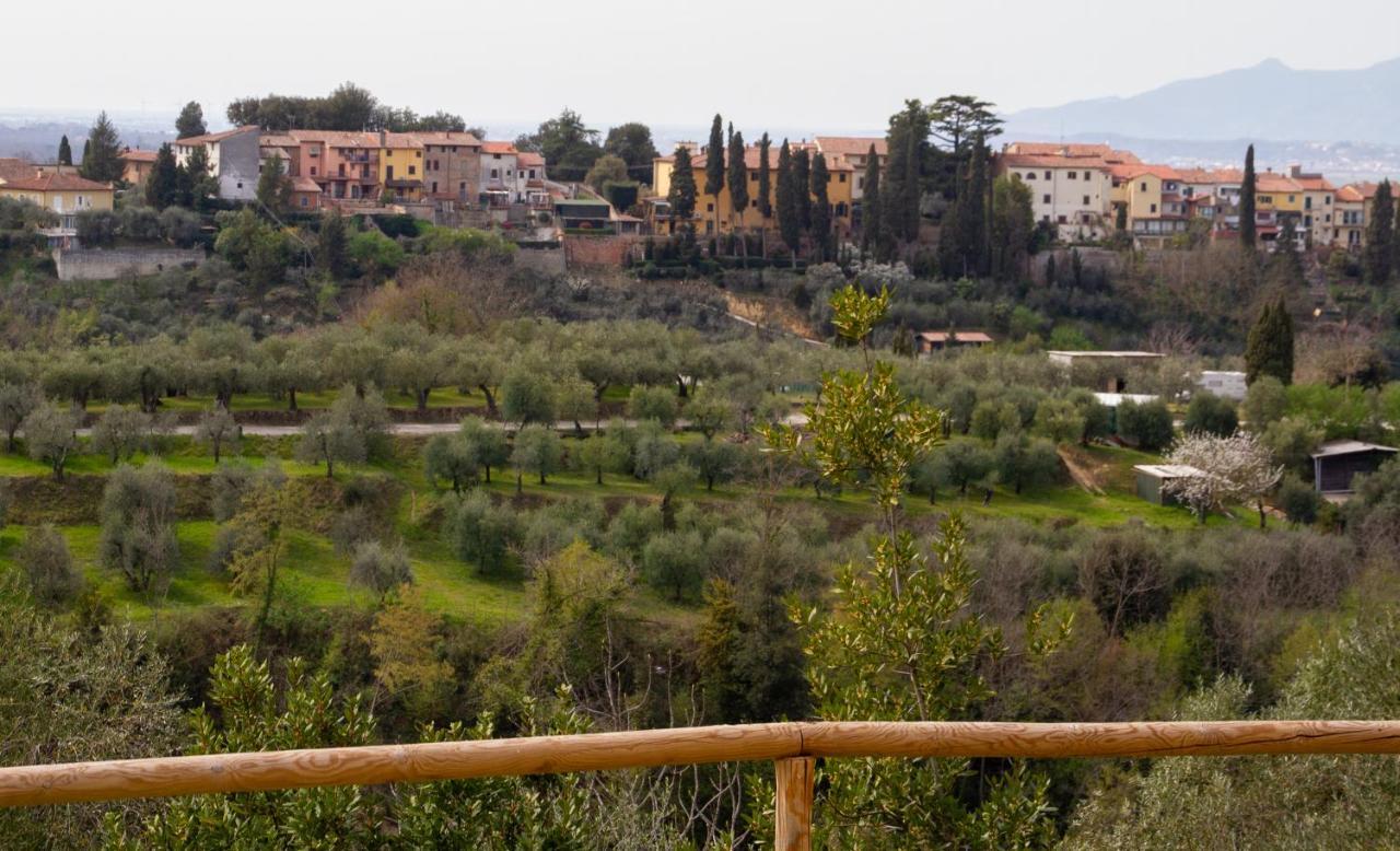 Montevecchio Apartments Montopoli in Val dʼArno Dış mekan fotoğraf